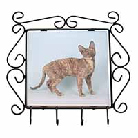 Cornish Rex Cat Wrought Iron Key Holder Hooks