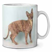 Cornish Rex Cat Ceramic 10oz Coffee Mug/Tea Cup