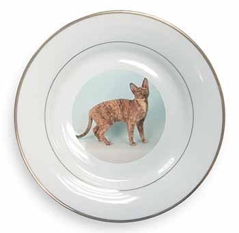 Cornish Rex Cat Gold Rim Plate Printed Full Colour in Gift Box