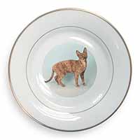 Cornish Rex Cat Gold Rim Plate Printed Full Colour in Gift Box