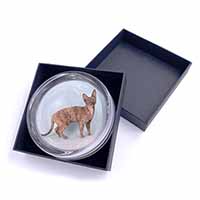 Cornish Rex Cat Glass Paperweight in Gift Box