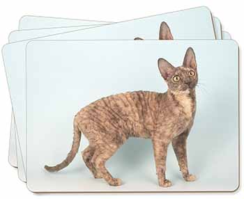 Cornish Rex Cat Picture Placemats in Gift Box