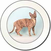 Cornish Rex Cat Car or Van Permit Holder/Tax Disc Holder