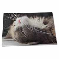 Large Glass Cutting Chopping Board Cat in Ecstacy