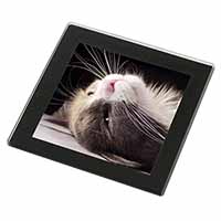 Cat in Ecstacy Black Rim High Quality Glass Coaster