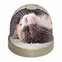 Cat in Ecstacy Snow Globe Photo Waterball