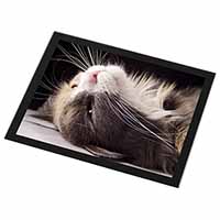 Cat in Ecstacy Black Rim High Quality Glass Placemat
