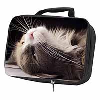 Cat in Ecstacy Black Insulated School Lunch Box/Picnic Bag
