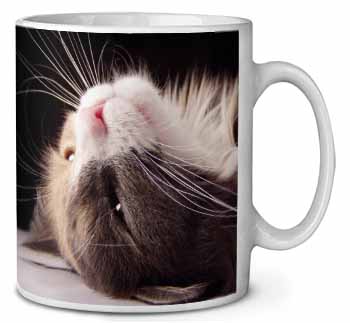 Cat in Ecstacy Ceramic 10oz Coffee Mug/Tea Cup