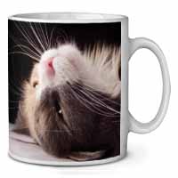 Cat in Ecstacy Ceramic 10oz Coffee Mug/Tea Cup