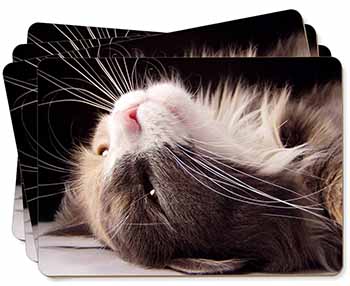 Cat in Ecstacy Picture Placemats in Gift Box