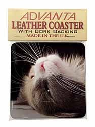 Cat in Ecstacy Single Leather Photo Coaster