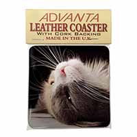 Cat in Ecstacy Single Leather Photo Coaster