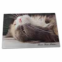 Large Glass Cutting Chopping Board Cat in Ecstacy 