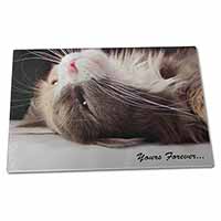 Large Glass Cutting Chopping Board Cat in Ecstacy 