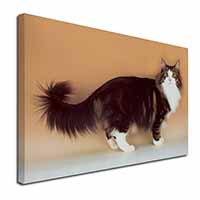 Norwegian Forest Cat Canvas X-Large 30"x20" Wall Art Print