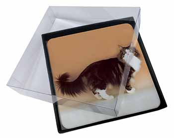 4x Norwegian Forest Cat Picture Table Coasters Set in Gift Box