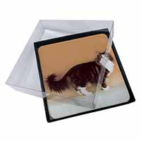 4x Norwegian Forest Cat Picture Table Coasters Set in Gift Box