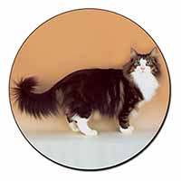 Norwegian Forest Cat Fridge Magnet Printed Full Colour