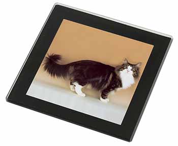 Norwegian Forest Cat Black Rim High Quality Glass Coaster