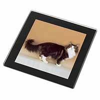 Norwegian Forest Cat Black Rim High Quality Glass Coaster