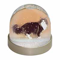 Norwegian Forest Cat Snow Globe Photo Waterball