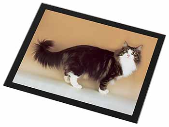Norwegian Forest Cat Black Rim High Quality Glass Placemat