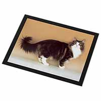 Norwegian Forest Cat Black Rim High Quality Glass Placemat