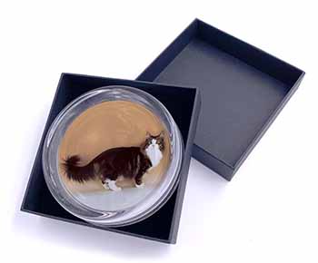 Norwegian Forest Cat Glass Paperweight in Gift Box