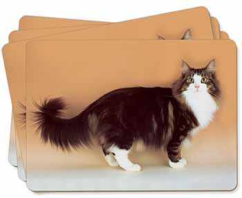 Norwegian Forest Cat Picture Placemats in Gift Box