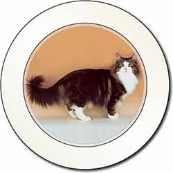 Norwegian Forest Cat Car or Van Permit Holder/Tax Disc Holder