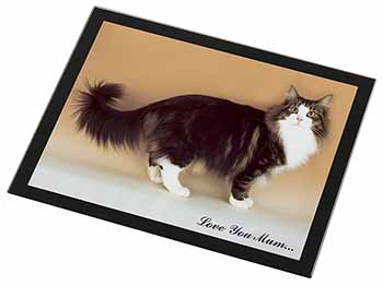 Norwegian Forest Cat 