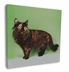Tortoiseshell Maine Coon Cat Square Canvas 12"x12" Wall Art Picture Print