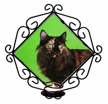 Tortoiseshell Maine Coon Cat Wrought Iron Wall Art Candle Holder