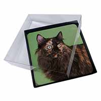 4x Tortoiseshell Maine Coon Cat Picture Table Coasters Set in Gift Box