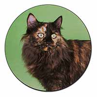 Tortoiseshell Maine Coon Cat Fridge Magnet Printed Full Colour