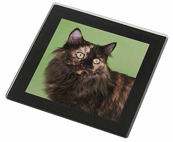 Tortoiseshell Maine Coon Cat Black Rim High Quality Glass Coaster