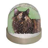 Tortoiseshell Maine Coon Cat Snow Globe Photo Waterball