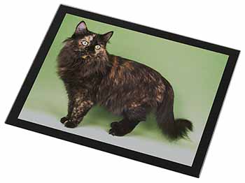 Tortoiseshell Maine Coon Cat Black Rim High Quality Glass Placemat