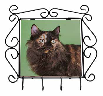 Tortoiseshell Maine Coon Cat Wrought Iron Key Holder Hooks