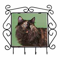 Tortoiseshell Maine Coon Cat Wrought Iron Key Holder Hooks