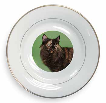 Tortoiseshell Maine Coon Cat Gold Rim Plate Printed Full Colour in Gift Box