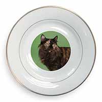 Tortoiseshell Maine Coon Cat Gold Rim Plate Printed Full Colour in Gift Box