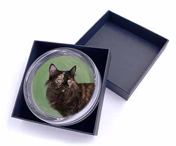 Tortoiseshell Maine Coon Cat Glass Paperweight in Gift Box