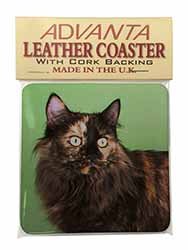 Tortoiseshell Maine Coon Cat Single Leather Photo Coaster, Printed Full Colour  