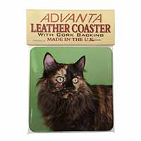 Tortoiseshell Maine Coon Cat Single Leather Photo Coaster, Printed Full Colour  - Advanta Group®