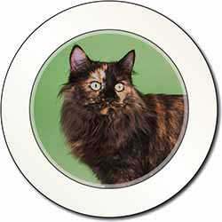 Tortoiseshell Maine Coon Cat Car or Van Permit Holder/Tax Disc Holder