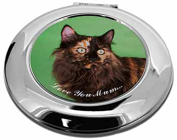Maine Coon Cat 