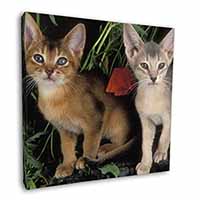 Abyssinian Cats by Poppies Square Canvas 12"x12" Wall Art Picture Print
