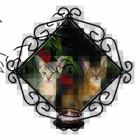 Abyssinian Cats by Poppies Wrought Iron Wall Art Candle Holder